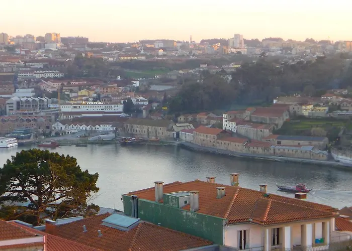 Lv Premier Clerigos- Re1