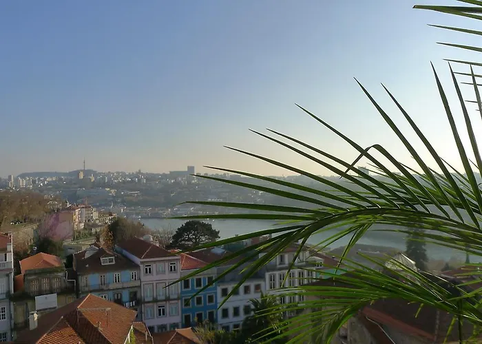 Apartmán Lv Premier Clerigos- Re1 *